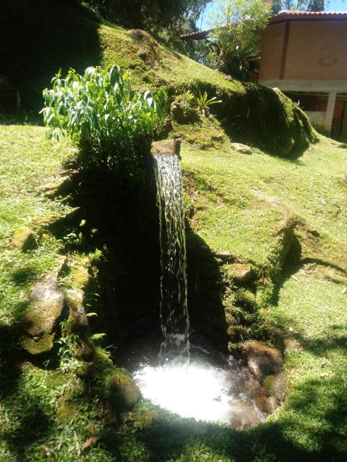 Chalé Truta da Floresta Visconde de Mauá Exterior foto