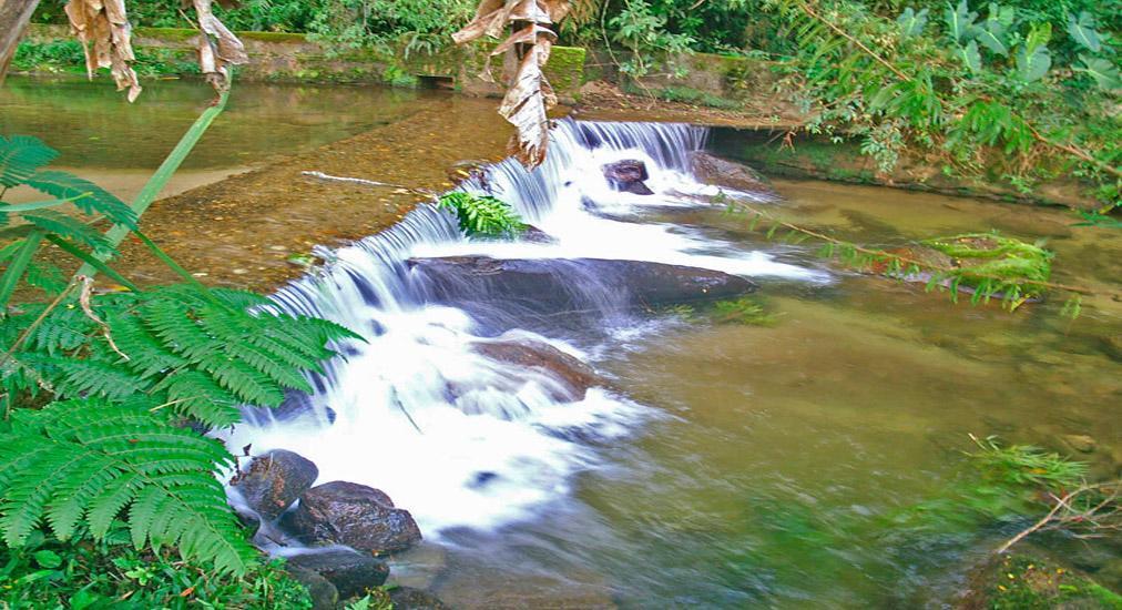 Chalé Truta da Floresta Visconde de Mauá Exterior foto