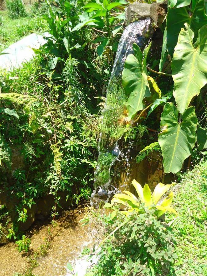 Chalé Truta da Floresta Visconde de Mauá Exterior foto