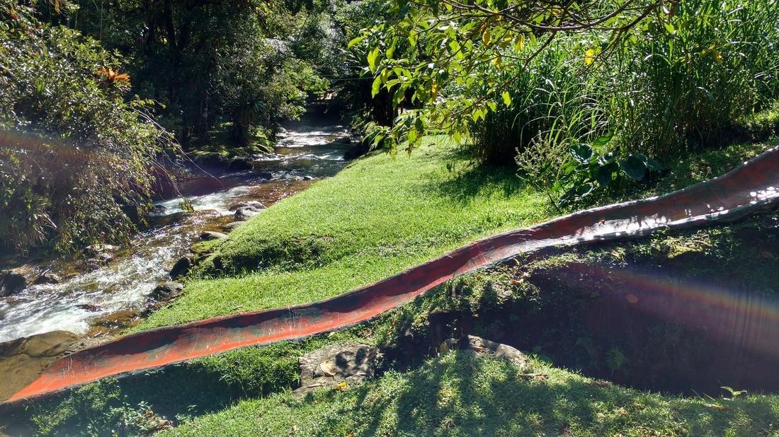 Chalé Truta da Floresta Visconde de Mauá Exterior foto